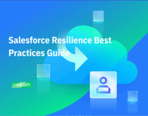 Salesforce Resilience Best Practices Guide
