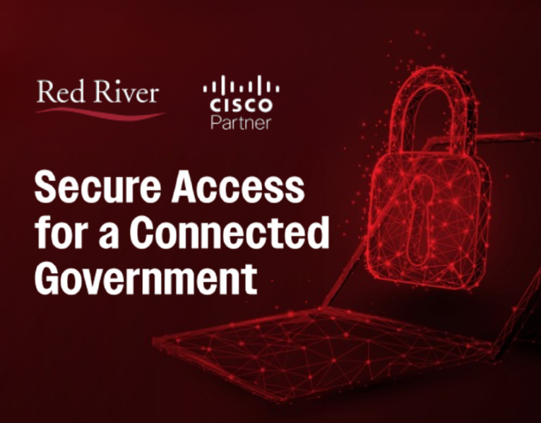 Secure Access for a Connected Government